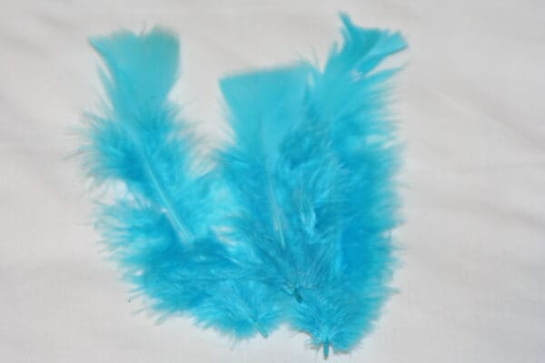 turkey feathers turq blue