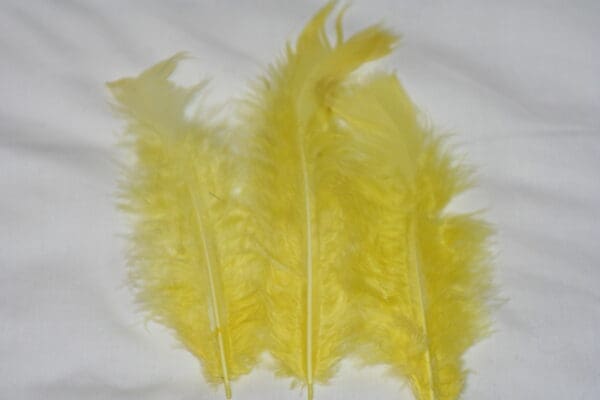 turkey feathers yellow