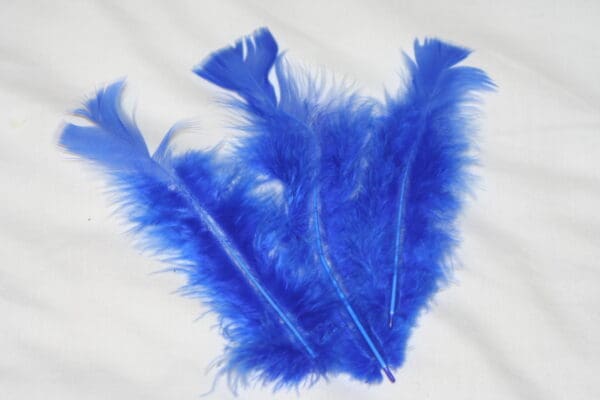 turkey feathers royal blue