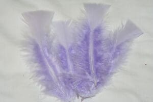 turkey feathers lilac