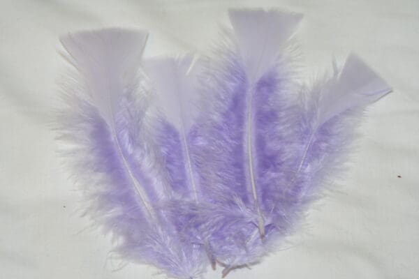 turkey feathers lilac