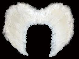 Large Feathered wings