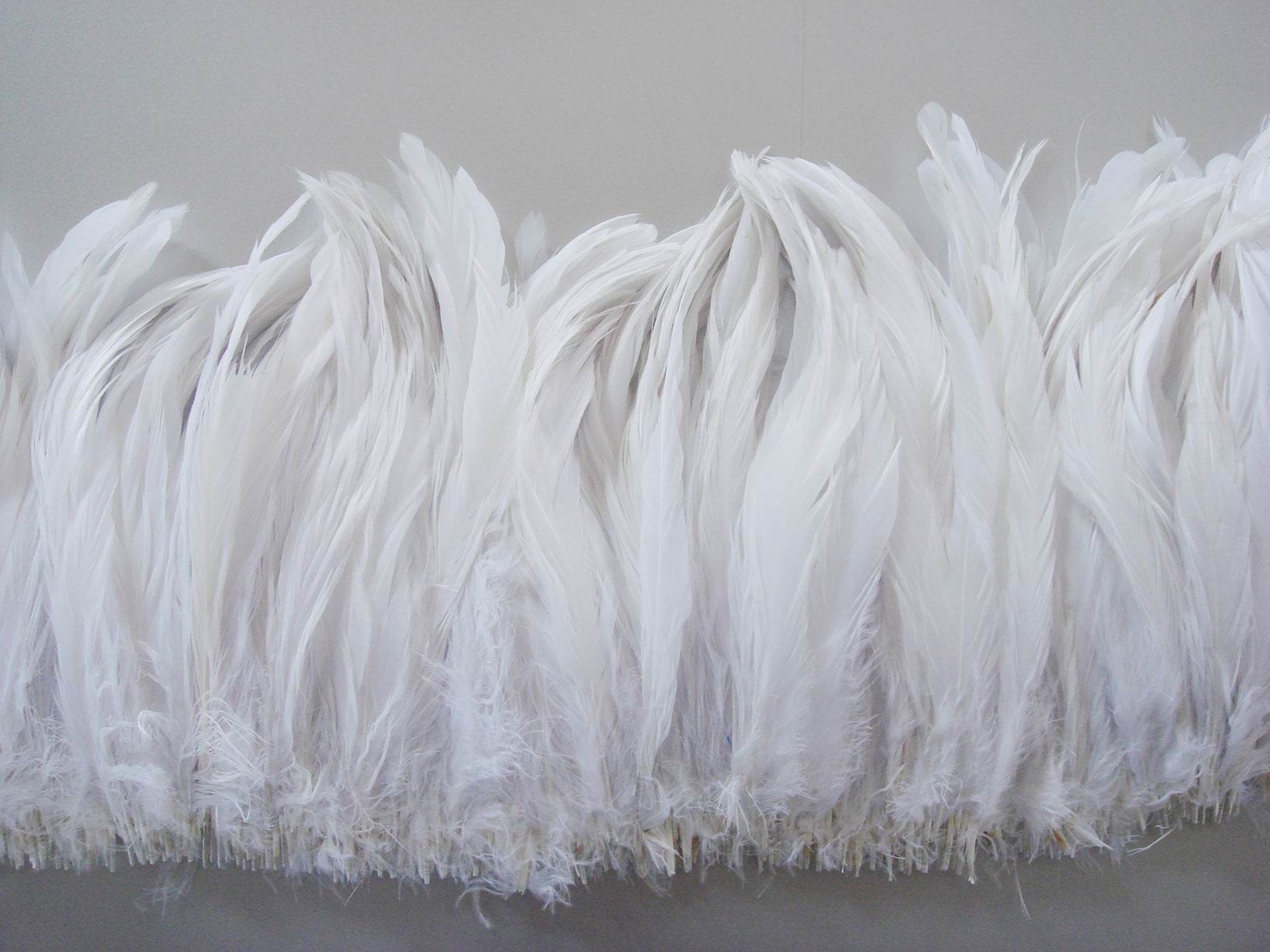 white couqe tail Feather Fringe
