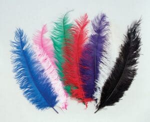 White Ostrich Feathers Wing