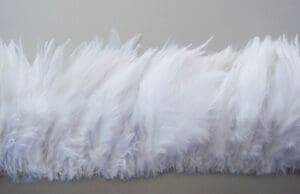 White Saddle Feather Fringe