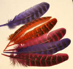 bag dyed pheasant wing feathers