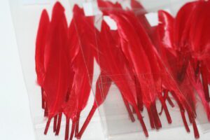 duck feathers