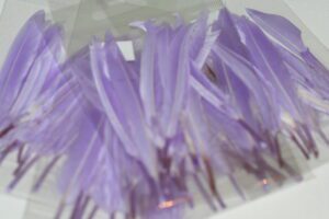 duck feathers