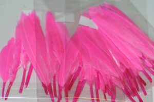 duck feathers