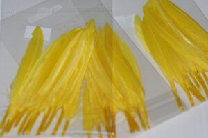 duck feathers