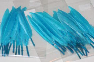 duck feathers