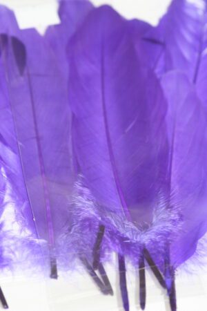 goose feathers