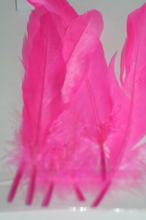 goose feathers