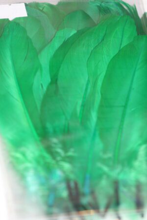 goose feathers